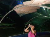 Underwater world